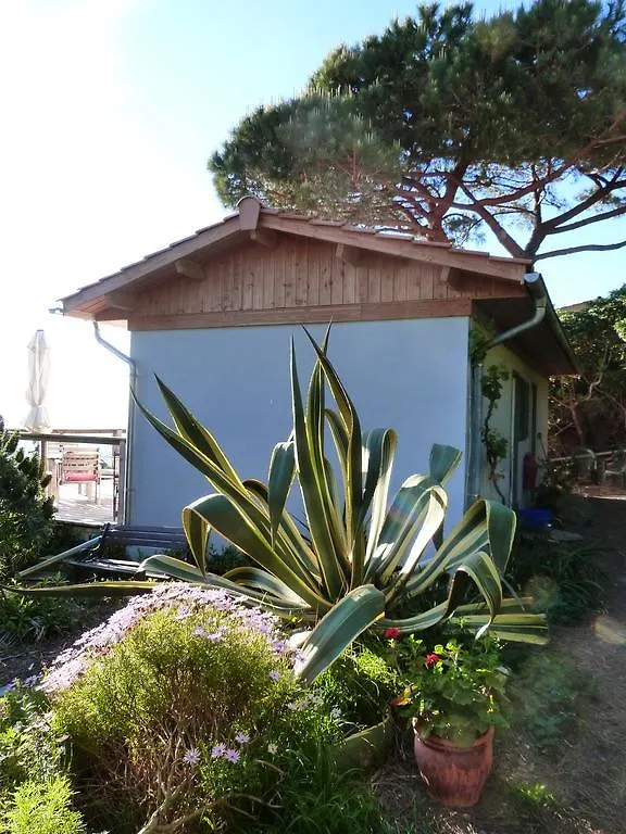 Casa de Férias La Fourmi Du Levant Vila Île du Levant